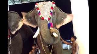 ഊട്ടോളി രാമൻ UTTOLY RAMAN AT IRINJALAKUDA KOODAL MANIKYAM TEMPLE 2018