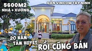 Tây Ninh: Bán nhà mặt tiền và xưởng bánh tráng 5600m2 công nghệ lò sấy tự động không phơi gần Vincom