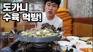 꽃돼지 여수 서울깍두기집에서 도가니 수육 먹방 mukbang eating show 吃播