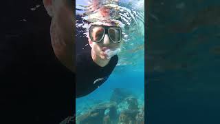 Snorkelling the amazing underwater world around Wilson Island! #snorkelling #ocean #fish #reef