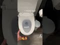 the best features on my alpha bidet seat bidetking.com