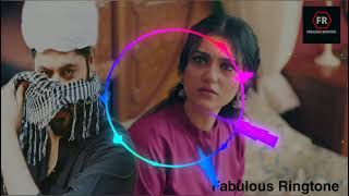 Raqs-e-Bismil Ringtone Pakistani Top Drama Ringtones 2021 | Hum Tv | Fabulous Ringtone Raqs-e-Bismil