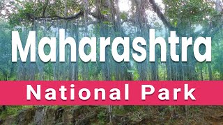 Top 5 Best National Parks to Visit in Maharashtra | India - English