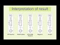 How to use a Malaria ( PF/Antigen) Rapid Test