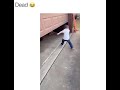 Kid hits head on the garage funny video 😂