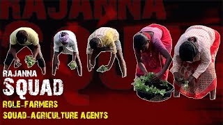 RAJANNA SQUAD || AGRICULTURE AGENTS || PLANTING CAULIFLOWER ||@rajannapolam