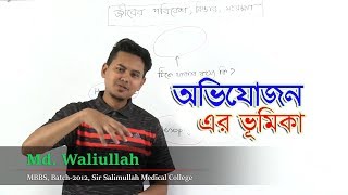 05.0. Introduction to Adaptation | অভিযোজন এর ভূমিকা | OnnoRokom Pathshala