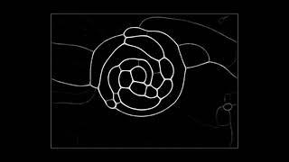 physarum simulation in processing