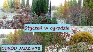 Styczeń w ogrodzie. Zimowanie roślin oraz porządki | Ogród Jadzi #73