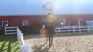 An inside look at Roger Williams Equestrian