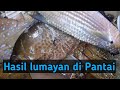 MEMBUJAK IKAN DI PANTAI LABUAN DENGAN HASIL LUMAYAN