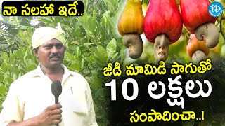 జీడి మామిడి సాగుతో 10 లక్షలు..| Jeedi Mamidi Cultivation | Cashew Nuts Farming | I Dream