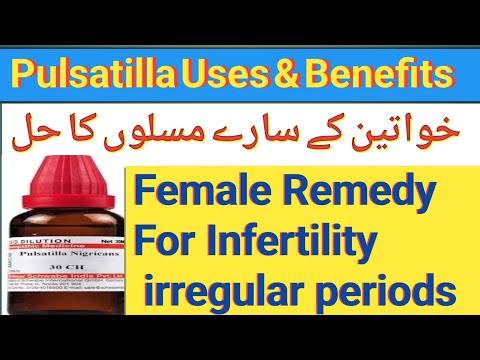 Pulsatilla Homeopathic Medicine Uses In Urdu | Pulsatilla Drug Picture ...