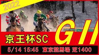 重賞予想 2022年5月14日京王杯SC【過去データ＋推奨馬・対抗馬紹介動画】