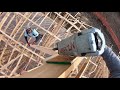 gopro hero 7 house framing scaffolding on hip