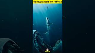 क्या Megalodon आज भी जिंदा है #megalodon #shark #wildlife