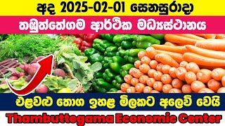 2025.02.01 | අද තඹුත්තේගම එළවළු මිල  | Thambuttegama vegetable price| Ada elawalu mila