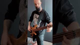 EVULSION - DECIMATION (BASS PLAYTHROUGH)