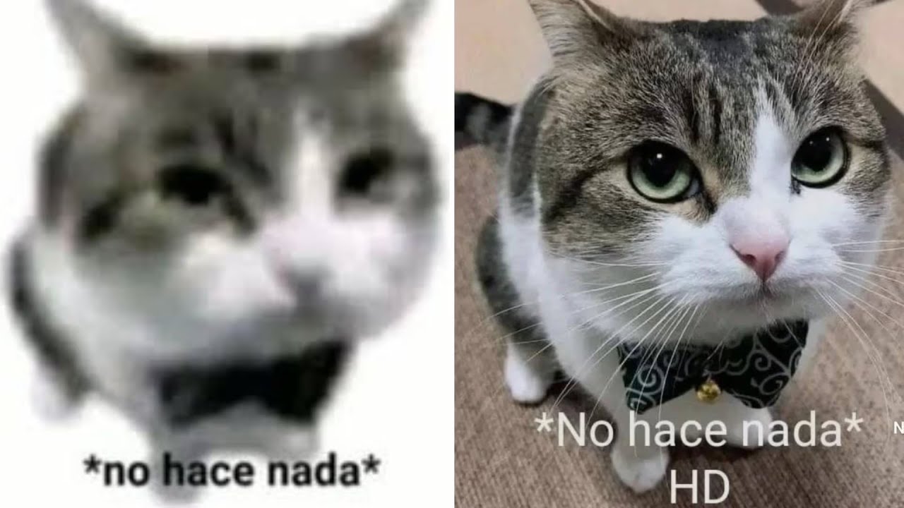 Shitpost Compilation V1 Youtube