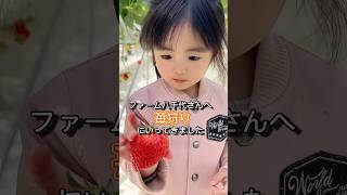 いちご狩りに行ってきました#過去動画 #いちご狩り #食レポ #食レポ幼女 #子供のいる暮らし #年子育児 #パパと娘 #あおいちゃん