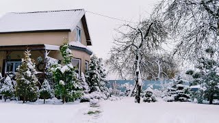 🏠Загородная жизнь в сезон снегопадов❄️ Сад 10 соток🌲  11 Января  2025 #дом #сад #garden