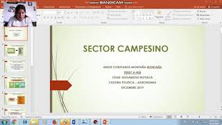 Sector campesino