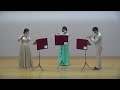 ドビィエンヌ　フルート3重奏　5番　ト短調　devienne trios three flutes nr.5 g moll