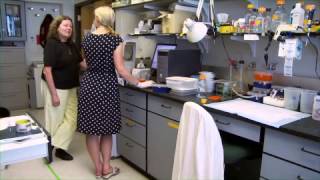 CU-Boulder Faculty