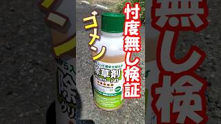 廉価版除草剤グリホサート41 効果は?葉から入って根まで枯らす?ダメ？あり？非農耕地用 レビュー ナフコさんで購入しました激安い