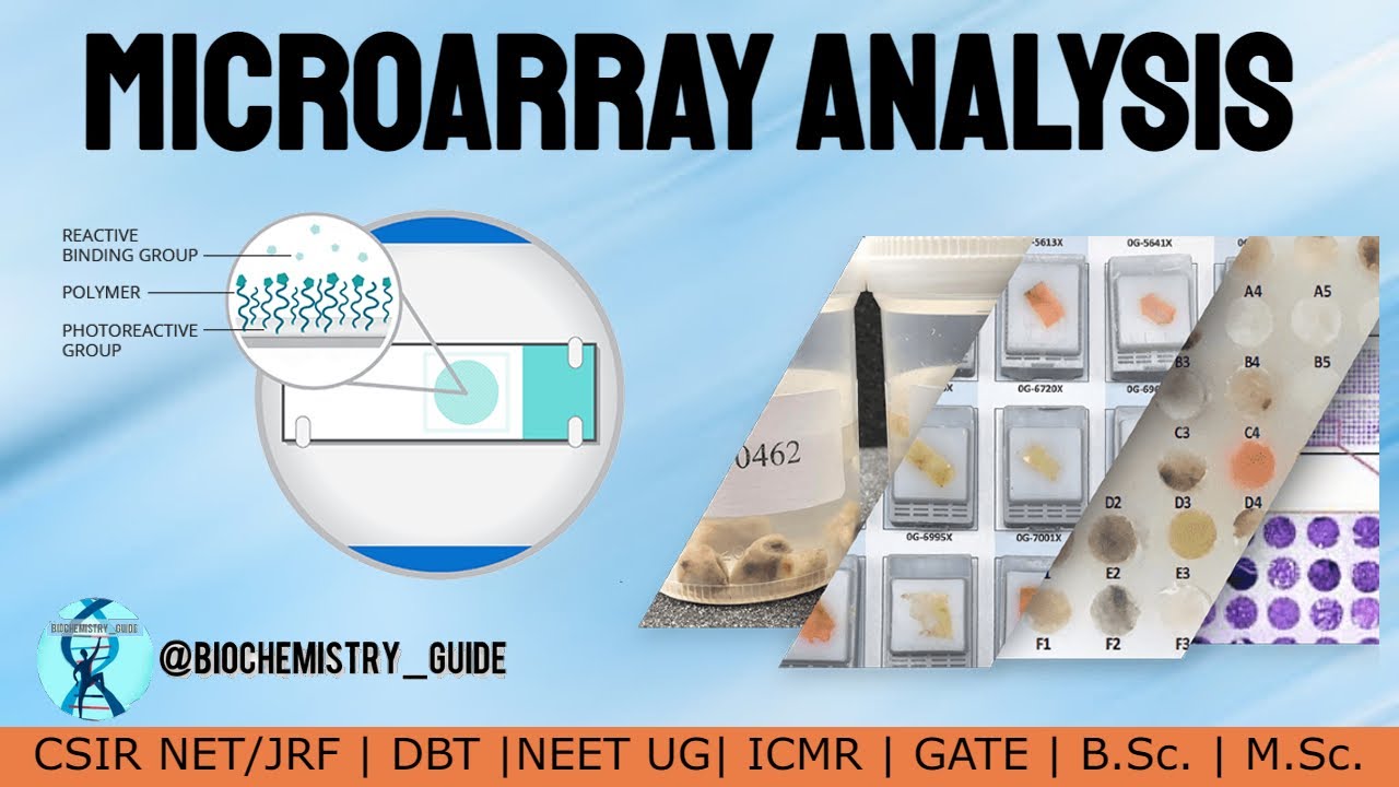 Microarray Analysis Youtube