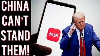 TikTok refuges get SLAMMED for pushing LBGT views on China owned Rednote app! Trump to blame?