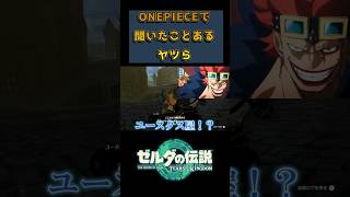 ONEPIECE エピソードオブハイラル【ゼルダの伝説 ティアキン】#ティアキン #ワンピース #shorts