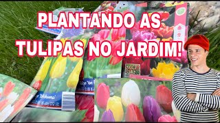 PLANTANDO AS TULIPAS NO JARDIM!