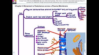 BIOLOGY KSSM F4- Chapter 3 Movement of Substance across a Plasma Membrane