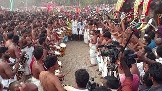 AANA POORAM AT BEST - PERINGOTTUKARA POORAM 2018 4K VIDEO