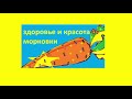 какую правду скрывают продавцы орехов макадамия