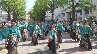 関東学院大学 誇咲 @よさこい光が丘(ふれあいの径) 2018-07-15T14:50