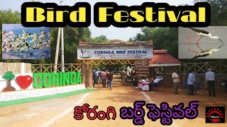 Coringa Bird Festival 2018 || కోరంగి పక్షి ఉత్సవాలు || కాకినాడ || Kinds Of Birds