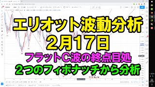 エリオット波動分析 2021年2月17日　フラットC波終点目処を2つのフィボナッチから分析