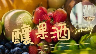 [熊大索尼] 釀果酒的基本原理｜製酒的分類｜釀酒酵母反應｜釀酒酵母的特性｜一次搞懂釀酒的十萬個為什麼