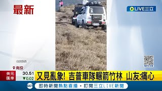 七彩湖又見亂象！吉普車隊疑貪圖方便 直接沿路輾箭竹林 山友:痛心│記者 陳逸潔 吳崑榆│【LIVE大現場】20230419│三立新聞台