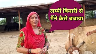 महिला पशुपालक ने गाय को लम्पी से कैसे बचाया ।।Lumpy Skin Disease।। farming guru ji