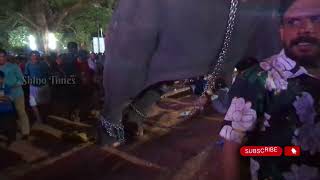 😯ആനയുടെ പുറകിൽ നിന്ന് ഉള്ള Kicks| #aanapremi #elephantattack #elephant #pooram #viral #aanakeralam