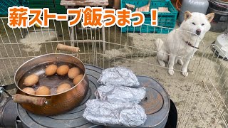 柴犬と食べる薪ストーブ飯‼️みかん園の柴犬たちと一緒に作るよ❤️