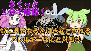 【さくっと５分解説】蚊に刺されると引き起こされるアレルギー反応と対処法【虫 / 害虫】