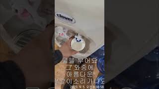 조탈이 철분을 섭취하는방법