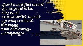 കാര്ഗോപെട്ടി പൊട്ടി പുറത്ത് വന്നത് പുളയുന്ന പാമ്പുകളോ ? Snakes in Cargo?/ Kauthuka Varthakal #news