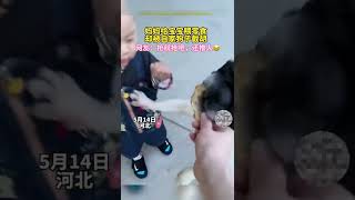 狗狗为抢小零食一把推开小主人，网友：抢就抢吧还推人