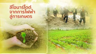 ๑ ในพระราชดำริ ตอน ลีโอนาร์ไดต์จากการไฟฟ้าสู่การเกษตร