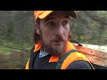 foraging a wild food meal with the wooded beardsman